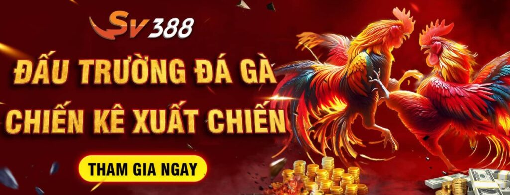 Cá Cược Đá Gà Tại SV388 Trong Pháp Luật Việt Nam